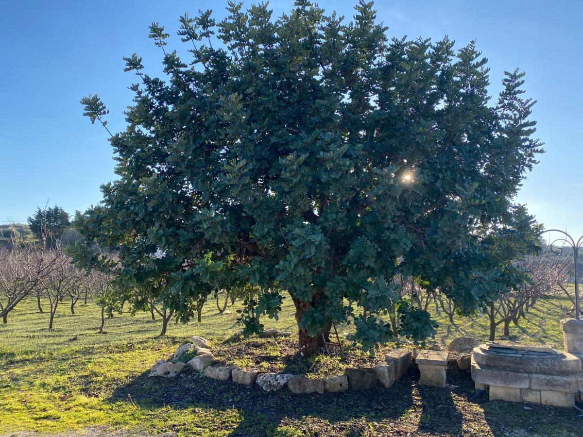 Trullo Della Selva Villa Alberobello Bagian luar foto